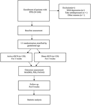 Effect of transcranial direct current stimulation on postpartum depression: A study protocol for a randomized controlled trial